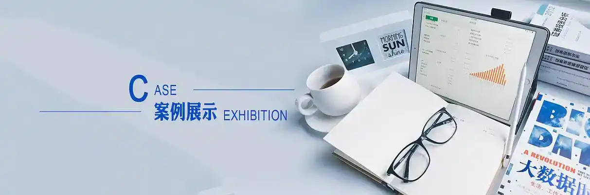 白水县软件开发